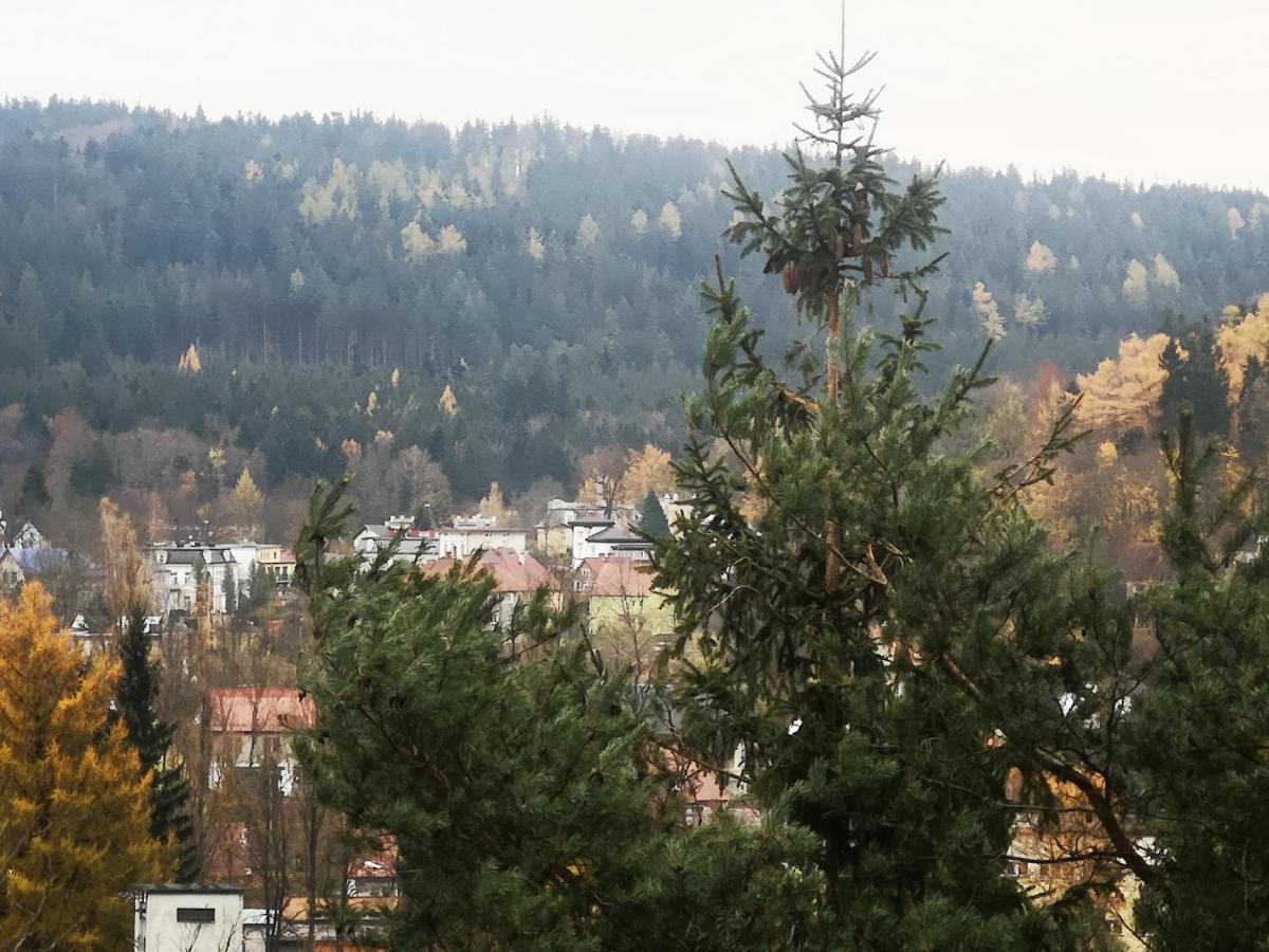 Lądek-ZdrójIrysekアパートメント エクステリア 写真